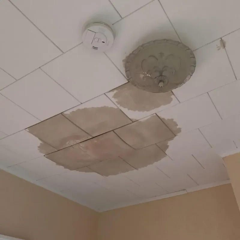 Ceiling Water Damage Repair in Tunica, MS